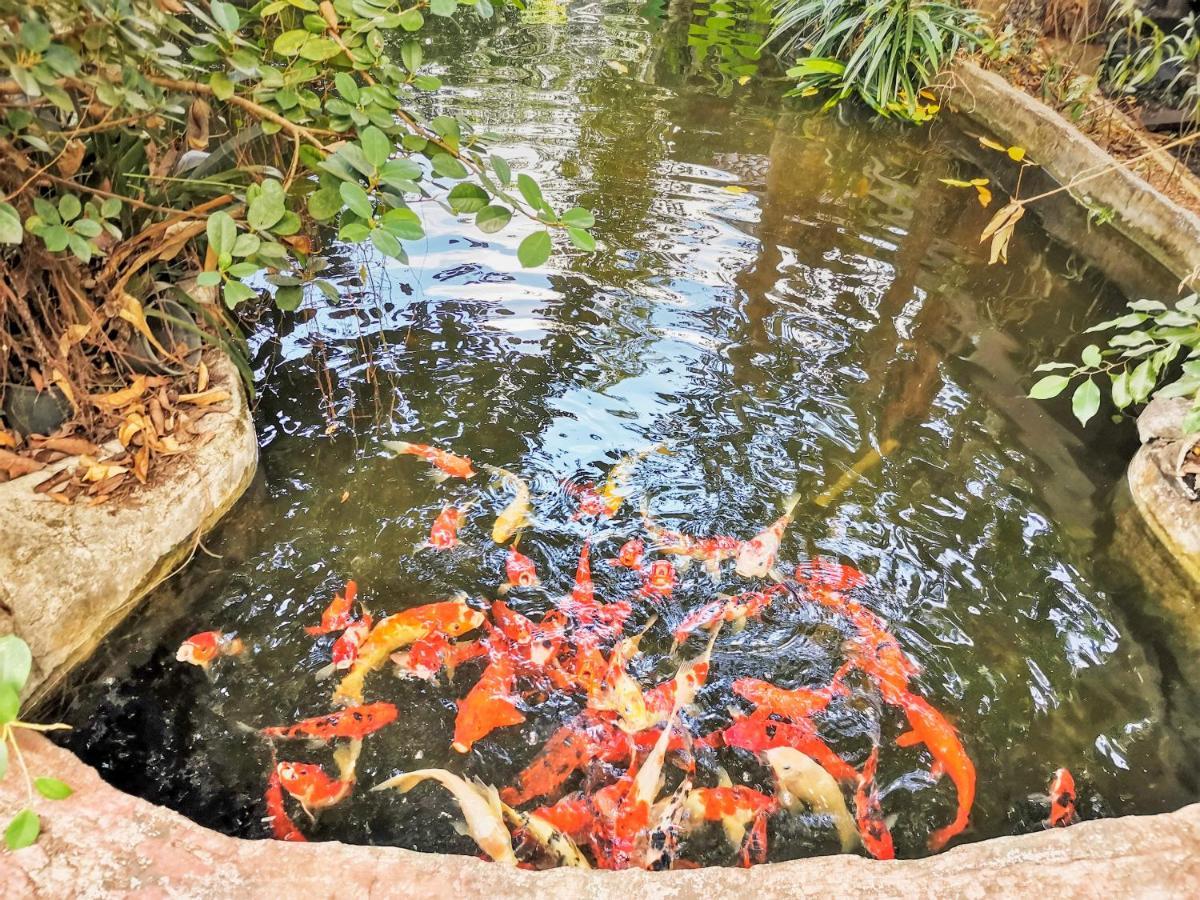 טראנג Oyo 604 Ruen Mai Horm Resort מראה חיצוני תמונה
